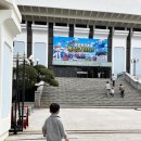 꼬마버스 타요 - 용감한 구조대 레스큐 타요 | [멋] 가족뮤지컬 〈꼬마버스 타요 - 용감한 구조대 레스큐 타요〉 , 내돈내산 후기❤️