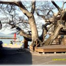 대포리 마을회관 이미지