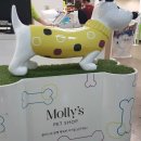 초록애견샵 이미지