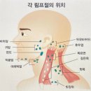 오늘기획 - 동구 | 오늘기획
