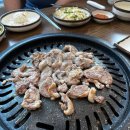 촌닭산오리 이미지