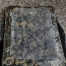 어부펜션 이미지