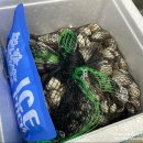 벌교제일수산 이미지