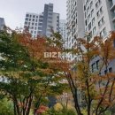 신세계114공인중개사사무소 네이버블로그