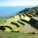 경포힐링스테이 이미지