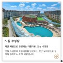 모실 수영장 이미지