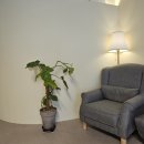 고운:결 이미지