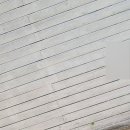 독스호텔리어 이미지