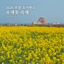 하이얀세탁소 | 포항 호미곶 유채꽃 축제 실시간 개화상태 260328방문