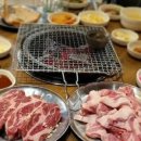 백탄참숯뒷고기