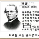 코르키코르키랩