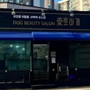 애틋하개 이미지