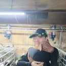 피그넷엔에스(주) | [대외활동] 2026 차세대 축산리더 아카데미 - 농장실습 후기 6일차