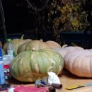 모도민박 이미지