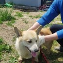 금학로187번길 이미지