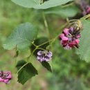 경기둘레길 양평29코스 이미지