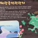 신안군관광협의회임자면지회 | 국내 최대 규모 해변 신안 임자도 대광 해수욕장 오션뷰 바다 앞 카페 전남 여행 가볼 만한 곳