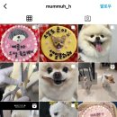 멈머(mummuh) 이미지