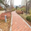 소담동_새샘908동 이미지