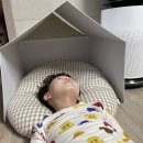 까미하우스 이미지