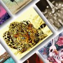 안다로미 이미지