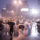 그리움만 - 신영균 이미지