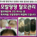 큐사랑팡팡