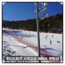 휘닉스파크 스키강습 추천 에이스 렌탈샵 가격 비용 후기