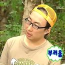 스테이 댕댕 이미지