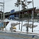 둔내역한우 이미지