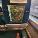 지에스(GS)25 하당비파점 | 8월 2일~3일 주말 일상: 피지컬 개쩌는 남이랑 목포 여행 | 전라도 처음 가보다