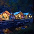 코코비발디 캠핑장 이미지