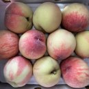 찬식농장 이미지
