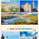 설레임여행사