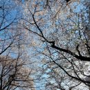 수봉양궁장 이미지