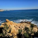 대왕암공원 이미지