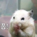 포레스테이 - 강동구 강동대로55길 92 | 포레스테이