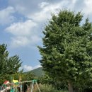 부내초등학교 앞 이미지