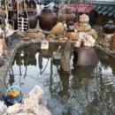 대밭횟집 이미지