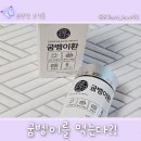 환의농장 | 60대 부모님 기력회복 건강만사성 굼벵이환 선물 후기