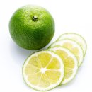 라임 이미지