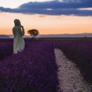 남부코스 이미지