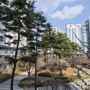 새마을부동산공인중개사사무소 이미지