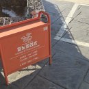 피노펠리즈 이미지