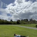 가족농장 | [뉴질랜드] 로토루아 아그로돔 양털깎기 쇼 &amp; 농장체험 후기 | 대자연 속 가족 힐링타임