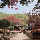 화산왕겨 네이버블로그