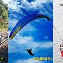 보령레포츠