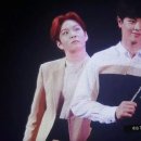 모야 이미지