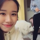 미스터피자부산외대점 이미지