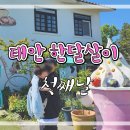 태안팜랜드 이미지